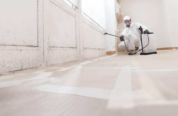 24/7 Emergency Black Mold Remediation experts in West Point, NY
